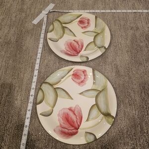 2 dinner plates from the Baum Bros Style Eyes Rembrandt Tulips Collection.